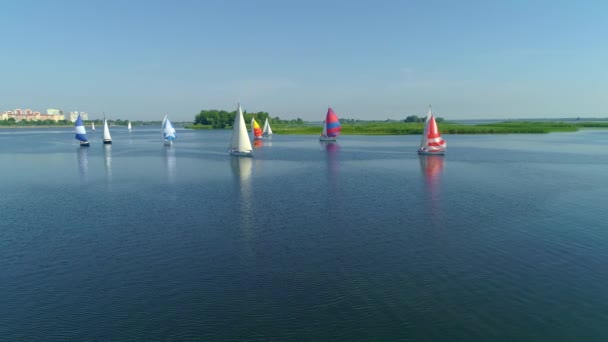 Légi felvétel a Dnipro folyó menti regattáról vagy vitorlázási versenyről - Felvétel, videó