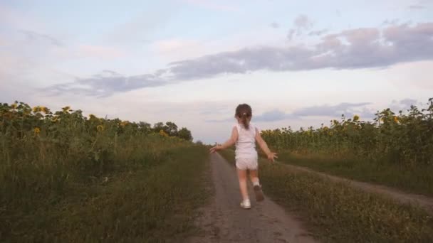 A happy child runs away from his parents along country road past sunflower field. Kid runs and looks back at his parents. Family plays in nature, in fresh air. Healthy little daughter runs and laughs. - Footage, Video