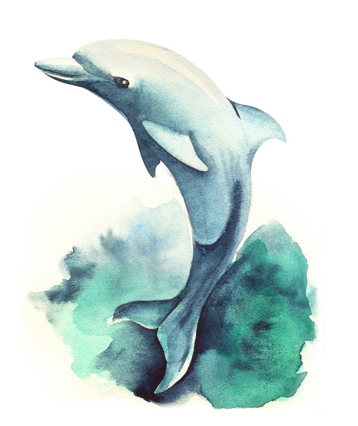 Watercolor image of graceful dolphin jumping out of sea wave. Hand-drawn illustration of cute and smart mammal on white background. Marine life. Decorative element for scrapbooking - Foto, afbeelding
