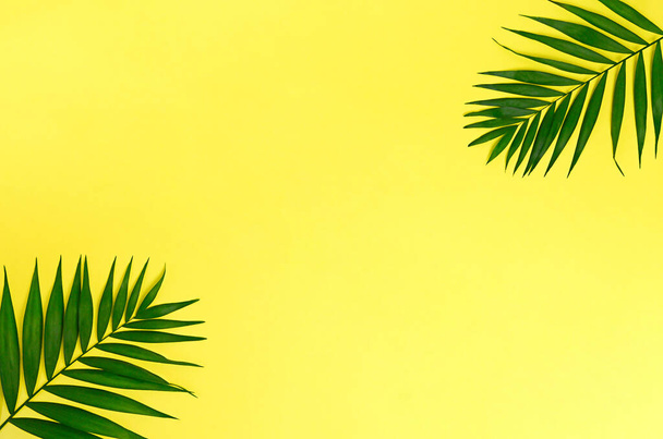 Palm Leaf on Yellow Backgrounds Summer Concept. High quality photo - Φωτογραφία, εικόνα