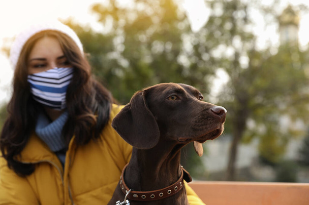 Woman in protective mask with German Shorthaired Pointer outdoors. Walking dog during COVID-19 pandemic - Fotoğraf, Görsel
