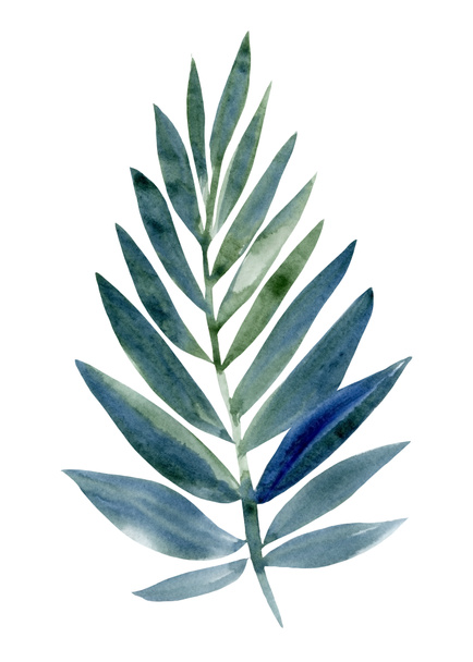 Tropical green leaf, watercolor sketch - Foto, afbeelding