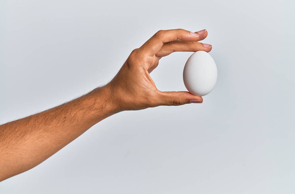 Giovane mano ispanica tenendo uovo crudo su sfondo bianco isolato. - Foto, immagini