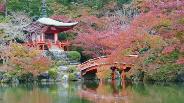 Arashiyama jesienią, Kioto, Japonia - Materiał filmowy, wideo