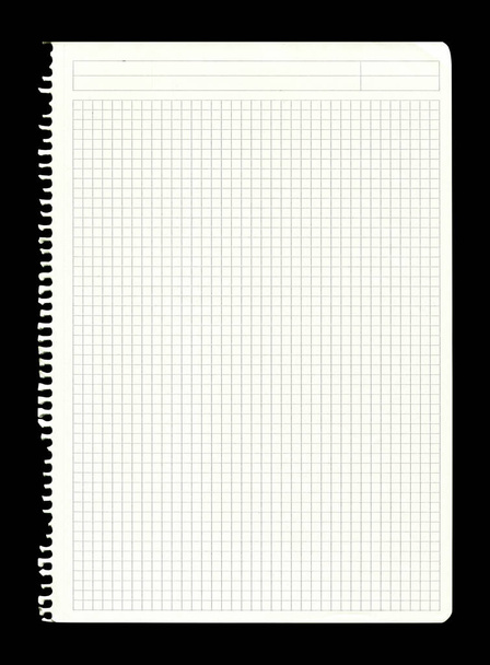 Checkered paski czyste biały podarty papier strony, izolowane na czarnym tle - Zdjęcie, obraz