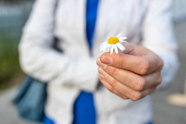 eine erwachsene Frau überreicht bescheiden eine Blume mit einer Hand. Heiratsantrag für gleichgeschlechtliche Liebe - Foto, Bild