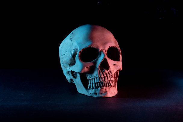 Crâne humain sur fond noir. Éclairage coloré du crâne. Crâne tourné sur le côté. Fond noir. - Photo, image