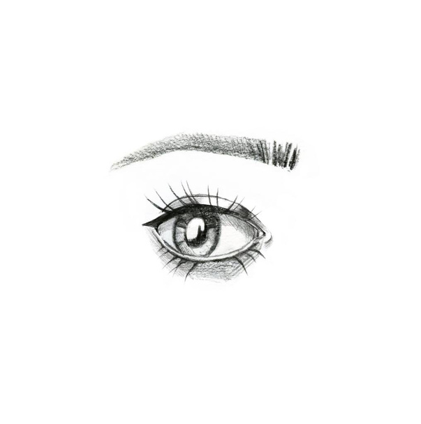 Beautiful woman eye, long eyelashes and eyebrows. Pencil sketch. hand drawn illustration isolated on white background. Realistic design for mascara and beauty products - 写真・画像