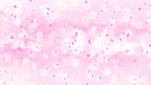 Colorful bright petals swinging in spring background with sun flares. Beautiful nature scene. Illustration cherry blossom petals. Abstract spring graphic. Loop animation. - Imágenes, Vídeo