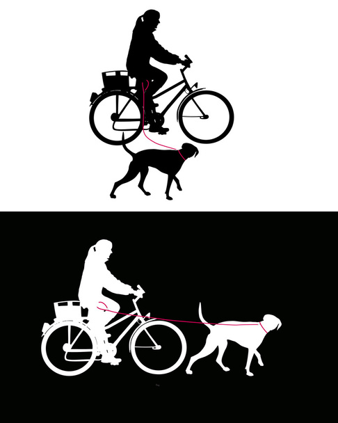 Women on bicycle with dogs on leash - Vector, Image