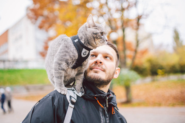 Street walk autumn,adult Caucasian man wearing dark jacket bright yellow hat and his trained domestic gray funny cat,male,looks with interest.The topic of using cat leash and pet backpack carrier bag. - Zdjęcie, obraz