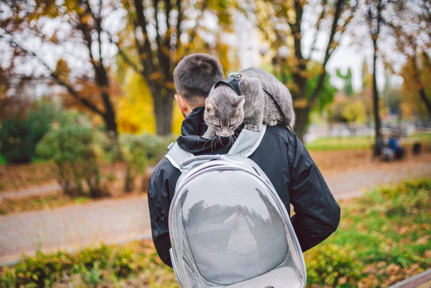 Portrait of tall young Caucasian happy man outdoor playing with gray funny handsome kitten sits on his back on transparent cat backpack carriers bag, close-up nature green background,people and pet. - Photo, Image