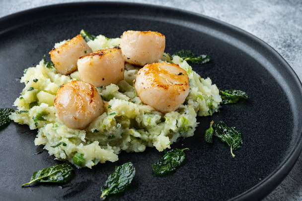 Cooked scallops with mushed minty potatoes and green pea, on grey background - Photo, Image