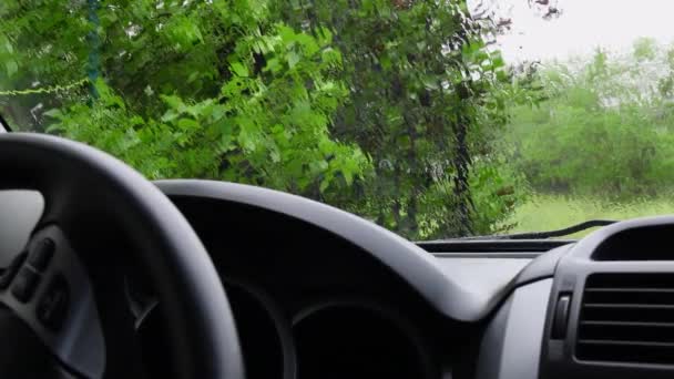Yeşil ağaç yaprağının çözünmüş arka planına sahip şeffaf ön camdan akan yağmur akışı - Video, Çekim