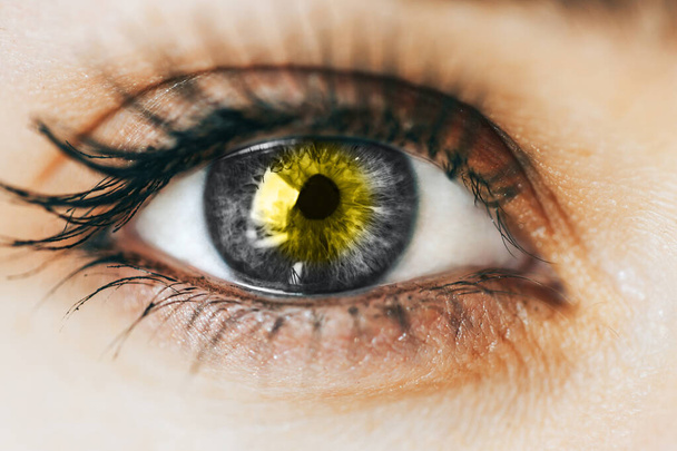 Nahaufnahme graues Auge mit gelber Beleuchtung in der Mitte, Konzeptfoto des Jahres Farbe, 2021. - Foto, Bild