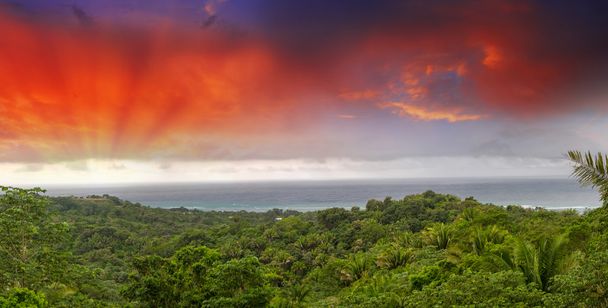 gyönyörű karibi tengerparton. trópusi panorámás tengeri tájkép - Fotó, kép