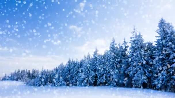 Erzeugter Schnee fällt auf eine wunderschöne winterliche Waldlandschaft mit blauem Himmel. - Filmmaterial, Video
