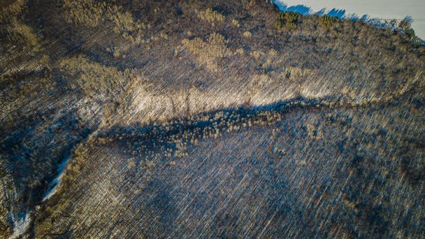 winter forest landscape made on a quadrocopter. High quality photo - Zdjęcie, obraz