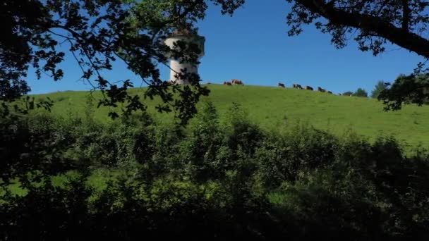Side tracking schot op een watertoren met een groep koeien eten in een veld, op het platteland. Video zonder kalibratie of effect. - Video