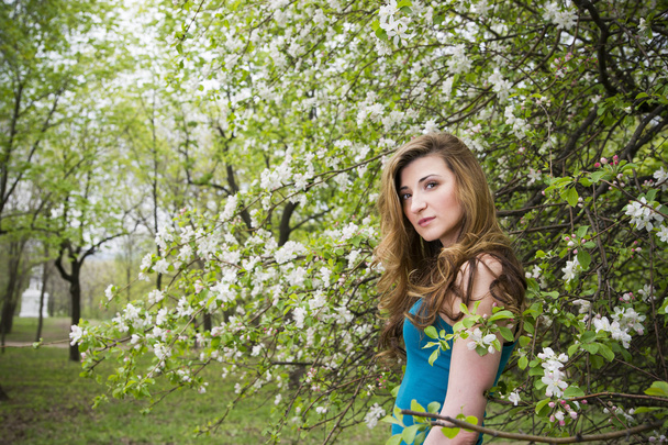 Young beautiful girl in spring blooming gardens - Фото, изображение