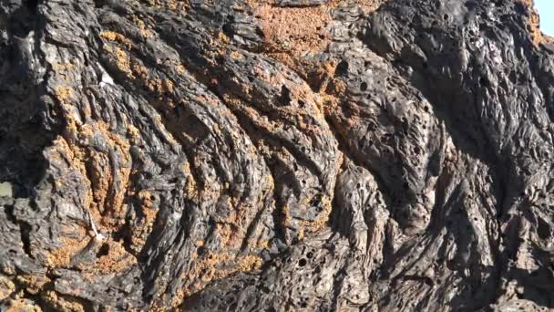 固化溶岩火成岩玄武岩のスポンジ状構造多孔質砕石と砕石凍結したギバーレグは地質学的クリンカーを登録します。. - 映像、動画