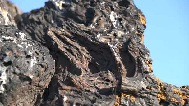 Katı hale getirilmiş Lava Igneous Kayası. Bazalt süngerimsi yapı. Gözenekli ve kırık taşlar. Donmuş gibber reg jeoloji regülatörleri.. - Video, Çekim