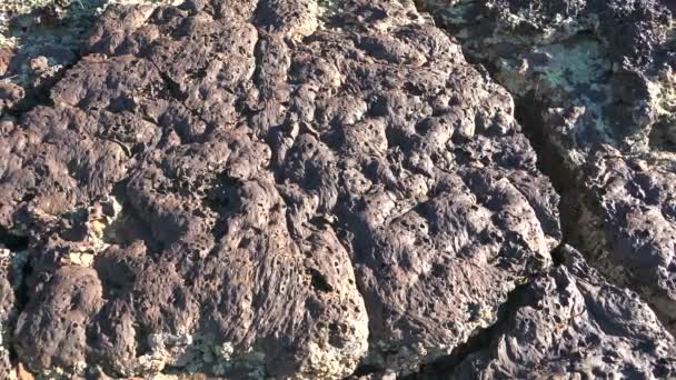 固化溶岩火成岩玄武岩のスポンジ状構造多孔質砕石と砕石凍結したギバーレグは地質学的クリンカーを登録します。. - 映像、動画