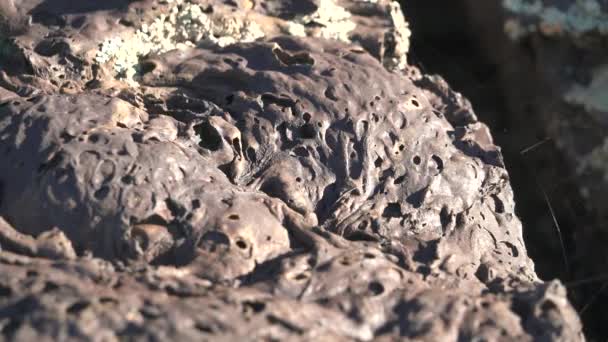 Solidified Lava Igneous Rock.Basalt spongy structure porous crushed and broken stones frozen gibber reg regs geology geological clinkers scoria magmatic cinder cone hill pyroclastic pyroclasts material magma extrusive igneous volcanic rock nature 4K. - Footage, Video