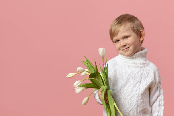 Dziecko chłopiec z kwiatami białe tulipany w dzianiny sweter na różowym stałym tle z miejsca na ksero. Koncepcja na Walentynki, dzień kobiety 8 marca i Dzień Matki. Makieta pocztówki z miejscem na tekst. - Zdjęcie, obraz