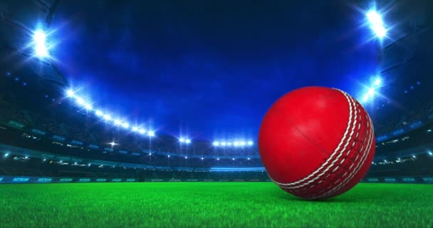 Moderní kriketový stadion se zářivými světly a pohybem míče na trávníku. Profesionální sport 4k video pozadí upraveno jako bezešvé smyčky. - Záběry, video