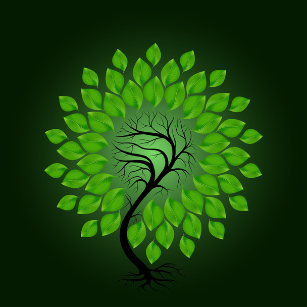 Vector tree with green leafage - ベクター画像