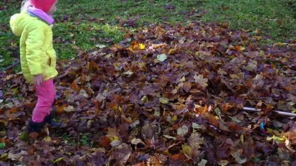 Traviesa madre escondida en un montón de hojas e hija pequeña jugando en el jardín - Metraje, vídeo