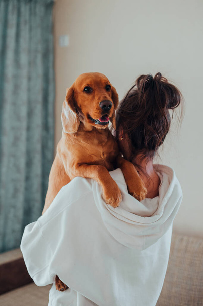 Kobieta domu trzyma psa w ramionach, rasy angielski Cocker Spaniel - Zdjęcie, obraz