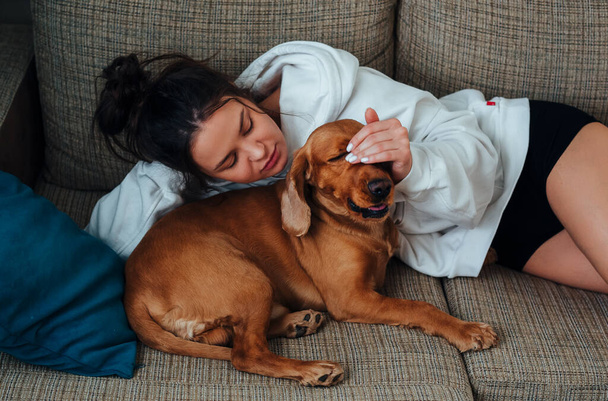 Dziewczyna wyciera psie łzy w domu na kanapie - Zdjęcie, obraz