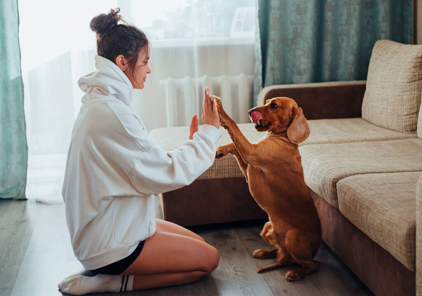 Σκύλος στο σπίτι, δίνει σ 'ένα κορίτσι πόδι, γλείφει τα χείλη του - Φωτογραφία, εικόνα