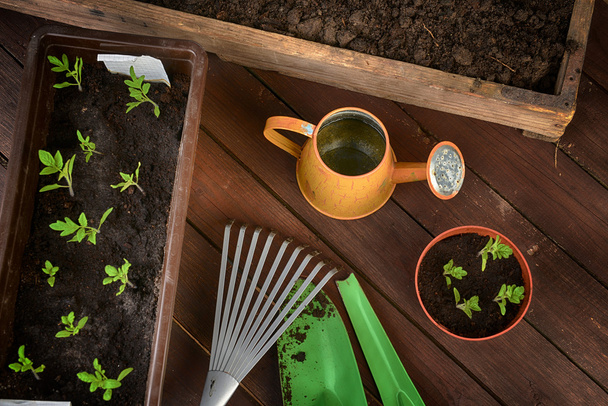 Gardening tools - Photo, image