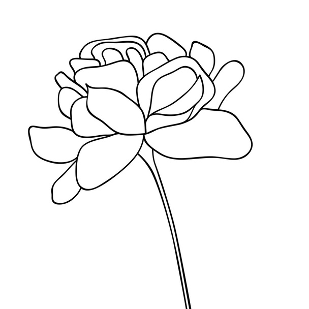 Vector illustration of flower hand drawn - Vector, Image