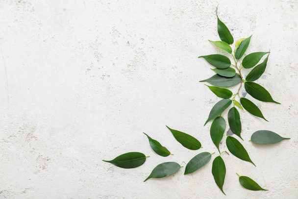 Zielona herbata liście na jasnym tle - Zdjęcie, obraz