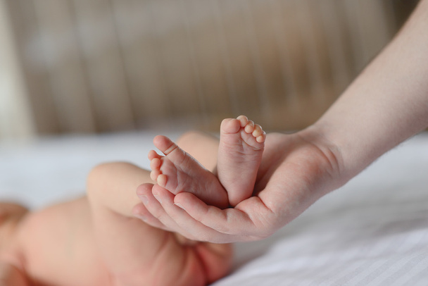 baba lábát - Fotó, kép