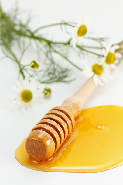 Honey And Chamomile - Foto, afbeelding