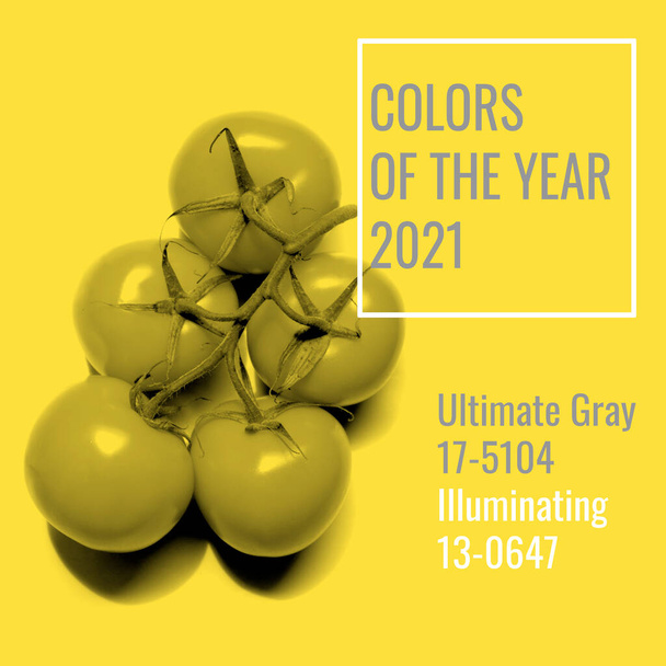 Colores de moda grises y amarillos 2021, tomates sobre fondo amarillo. Paleta. - Foto, imagen