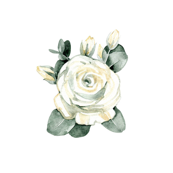 White rose, isolated on white background. Watercolor illustration - Valokuva, kuva