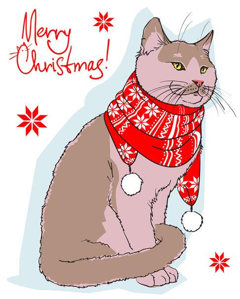 Christmas card with cat - Vector, Image