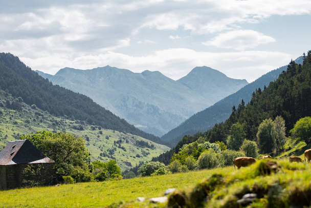 Riesige und schöne Pyrenäen-Landschaft im Sommer - Foto, Bild