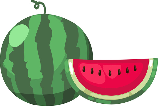 ilustrace meloun - Vektor, obrázek