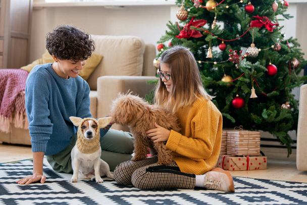 Νεαρή όμορφη γυναίκα και η κόρη της σε casualwear παίζει με αστεία σκυλιά, ενώ και οι δύο κάθονται στο πάτωμα του σαλονιού από χριστουγεννιάτικο δέντρο - Φωτογραφία, εικόνα
