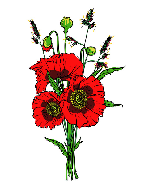 Amapolas rojas
 - Vector, Imagen