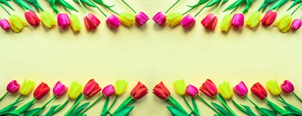 Schöne gelbe frische Tulpen auf hellgelbem Papier Hintergrund. Grußkarte zum Frauentag, Muttertag, Valentinstag, Familientag oder anderen Feiertagen. Selektiver Fokus. Flach lag er. Kopierraum. - Foto, Bild