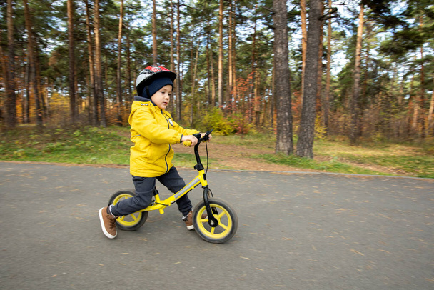 Спортивный маленький мальчик в спортивной одежде и защитном шлеме катается на велосипеде вдоль широкой асфальтовой дороги в парке против ряда сосновых бочек - Фото, изображение