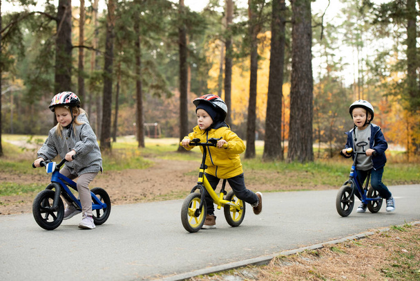 Dos lindos niños pequeños y adorable chica rubia sentados en sus bicicletas de equilibrio mientras se mueve por el camino de asfalto en el entorno natural en el ocio - Foto, Imagen